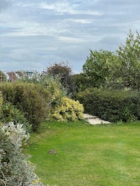 View from the kitchen window