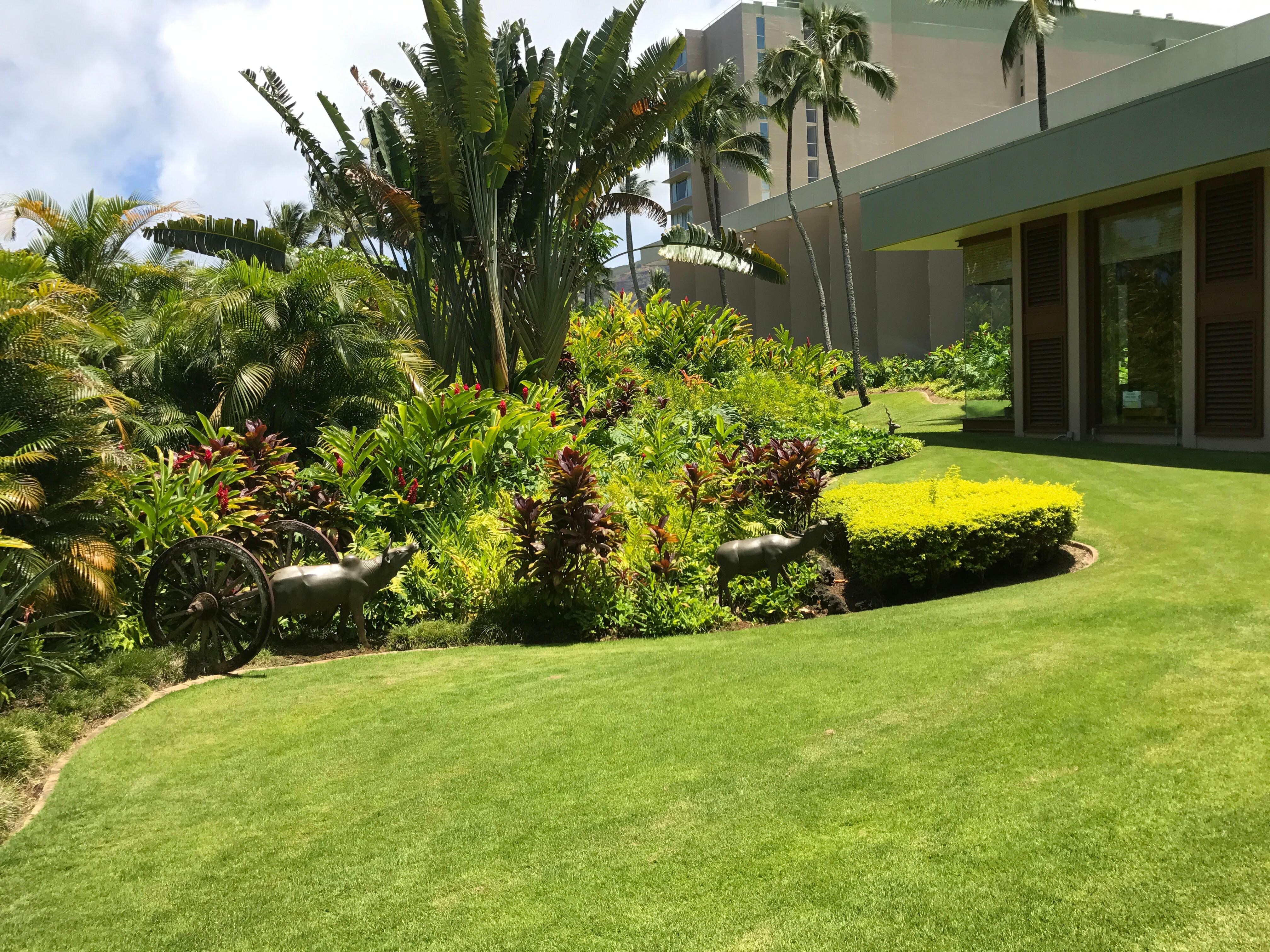 Hotel grounds gorgeous!