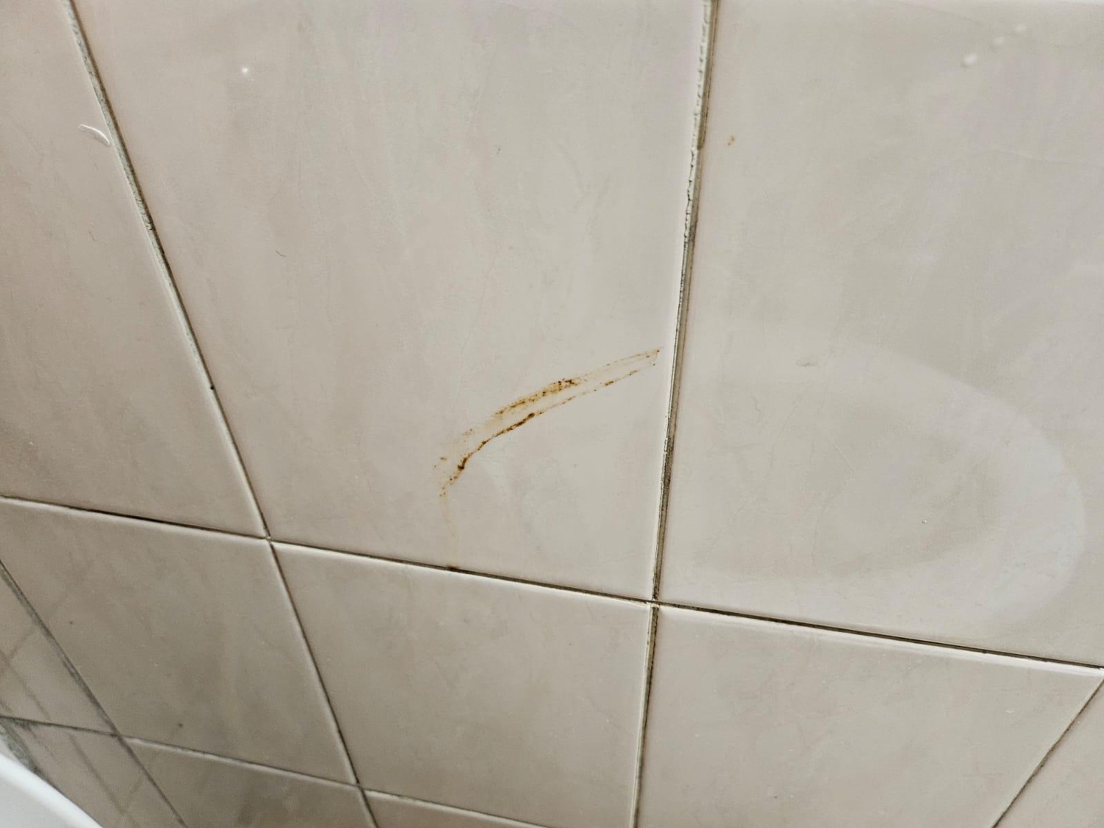 stain of poo on the toilet wall