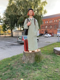 En resenär😁