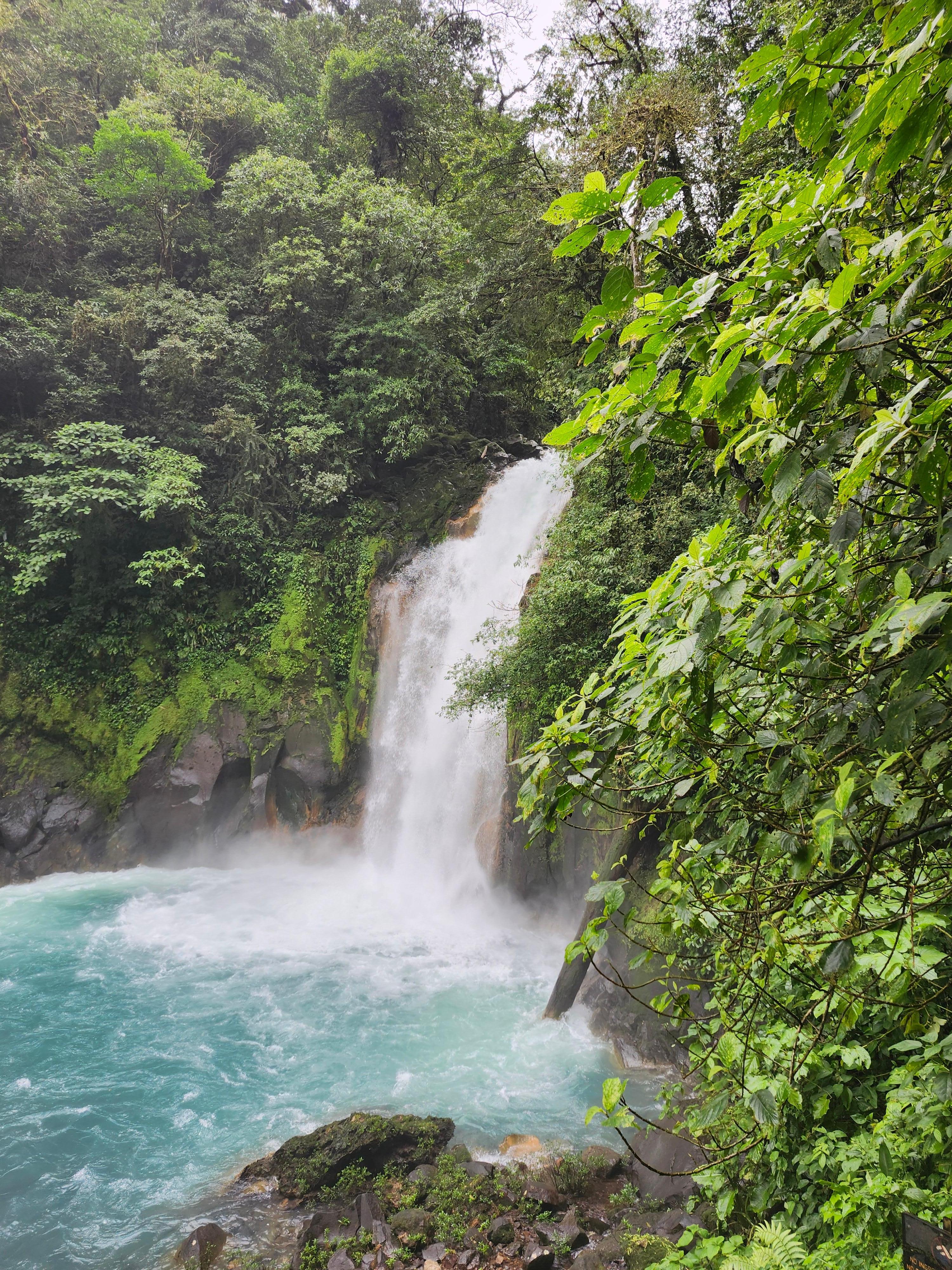 In the Tenorio national park.