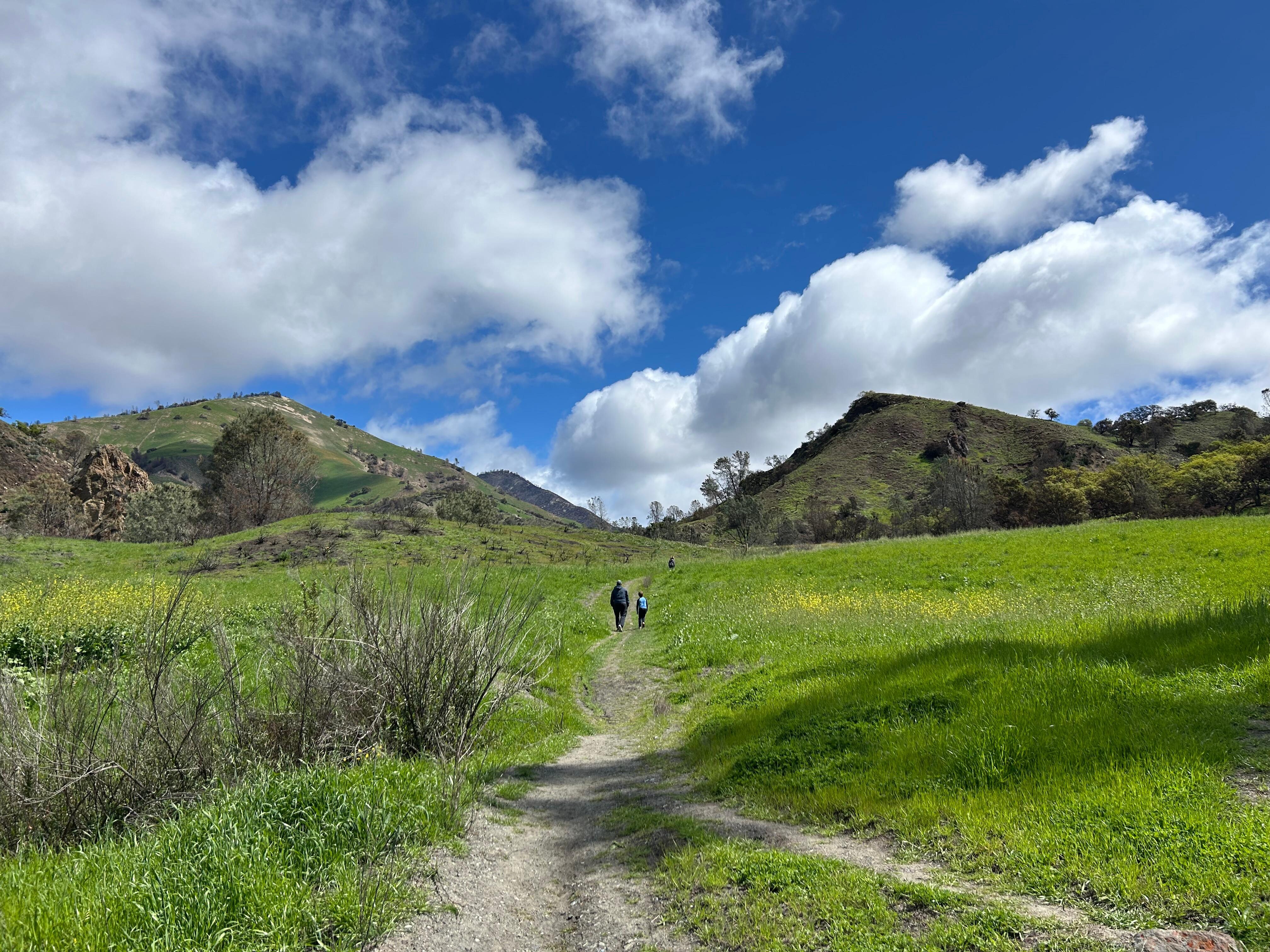 Beautiful hiking in SYV.