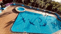 Piscine de jour