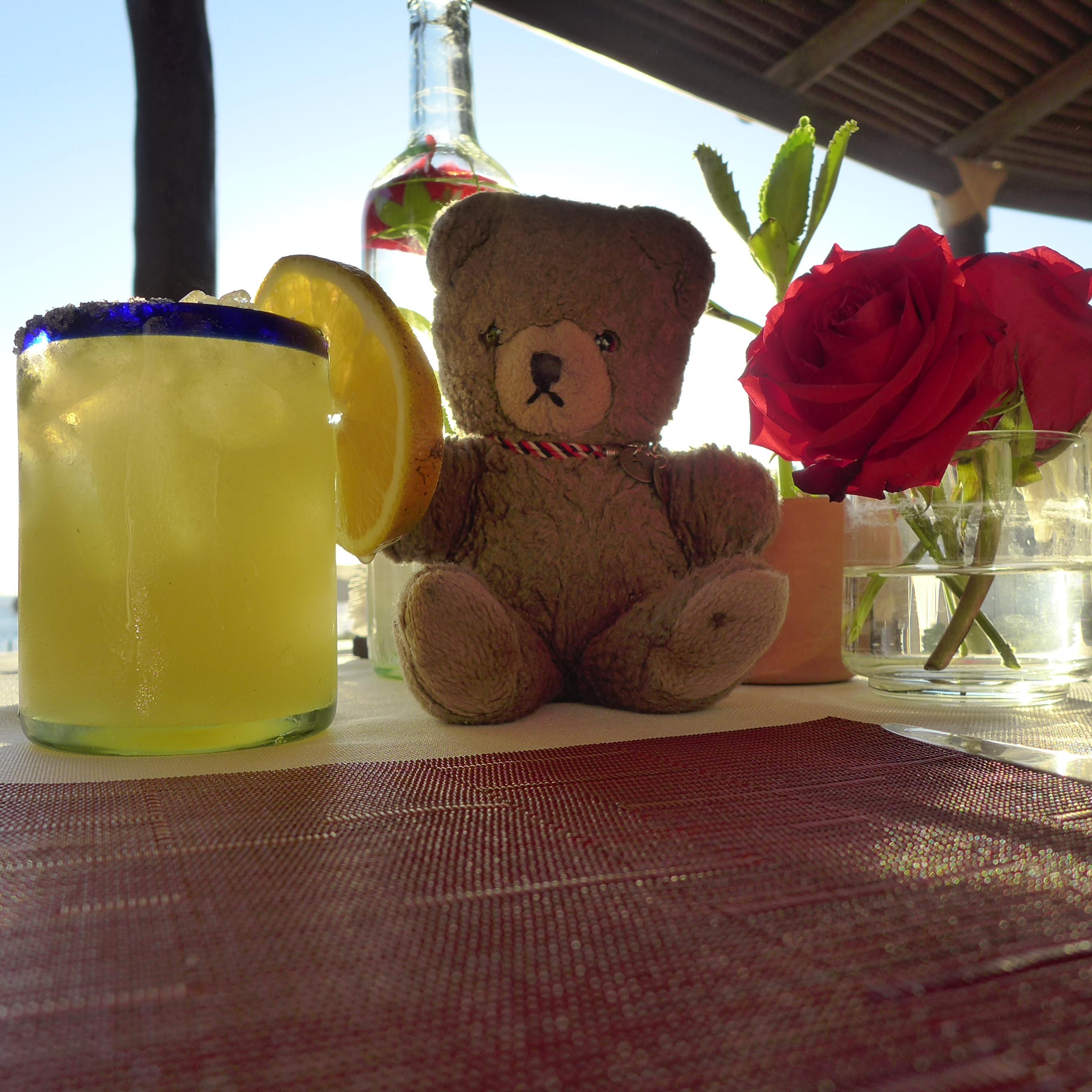 Our teddy Tanya was happy with the drinks menu