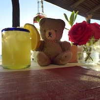 Our teddy Tanya was happy with the drinks menu