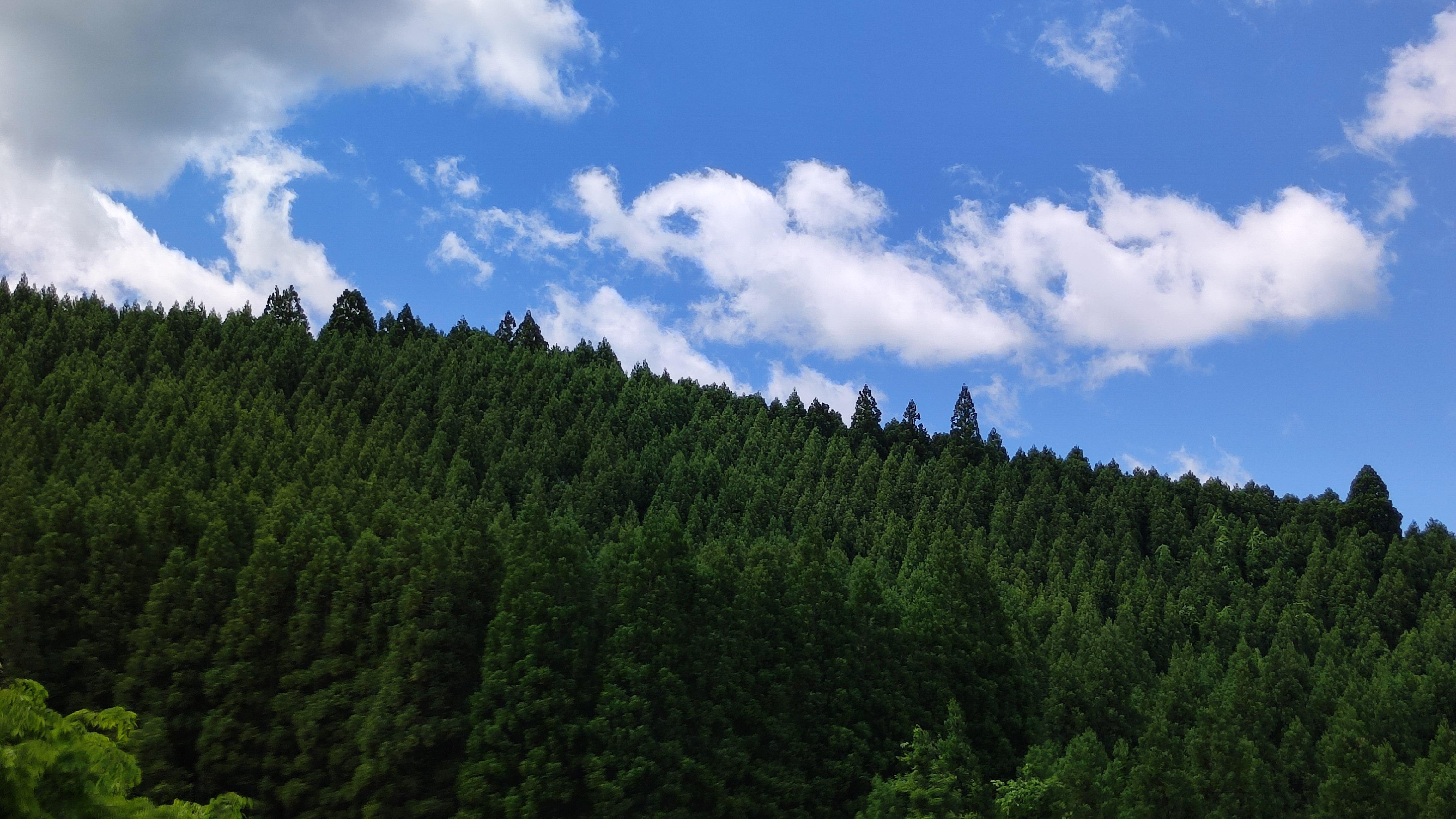 附近的山景