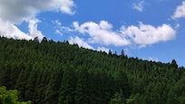 附近的山景