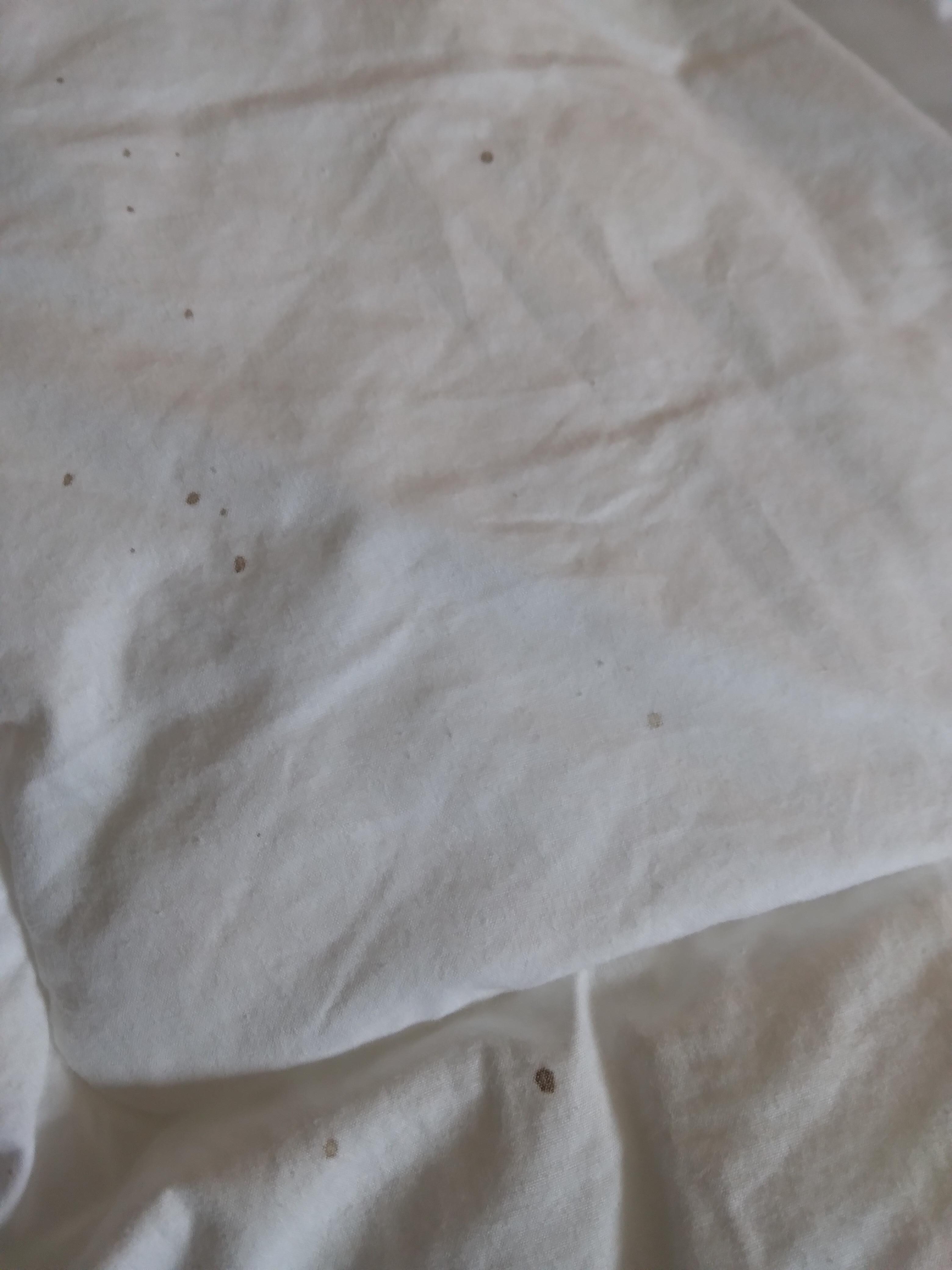 Dried blood on blankets