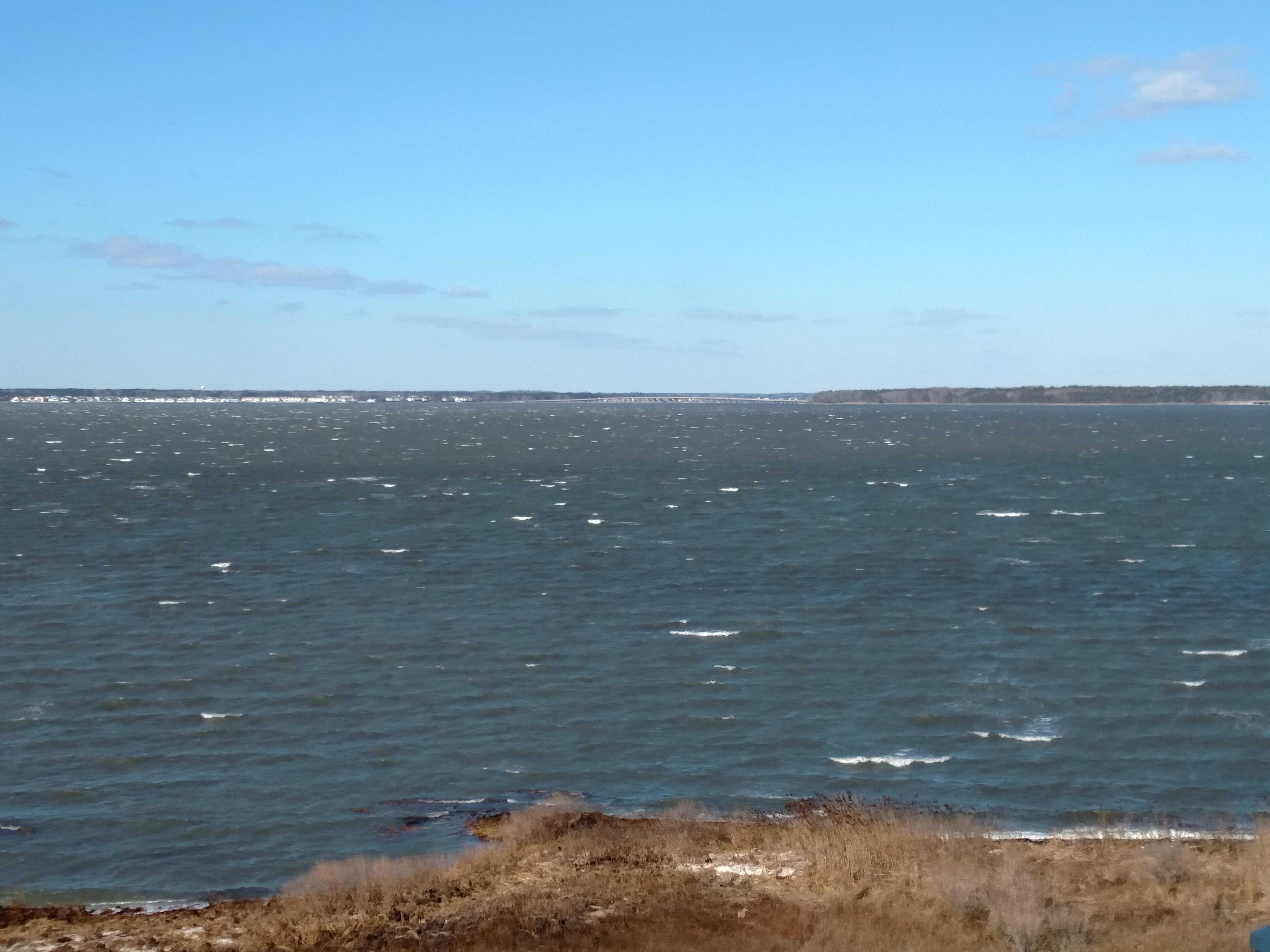 Windy day.