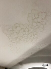 Damp on our bathroom ceiling. Possibly why both rooms stunk so badly.
