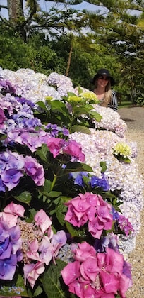 Flowers everywhere..