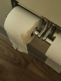 Dirty toilet tissue