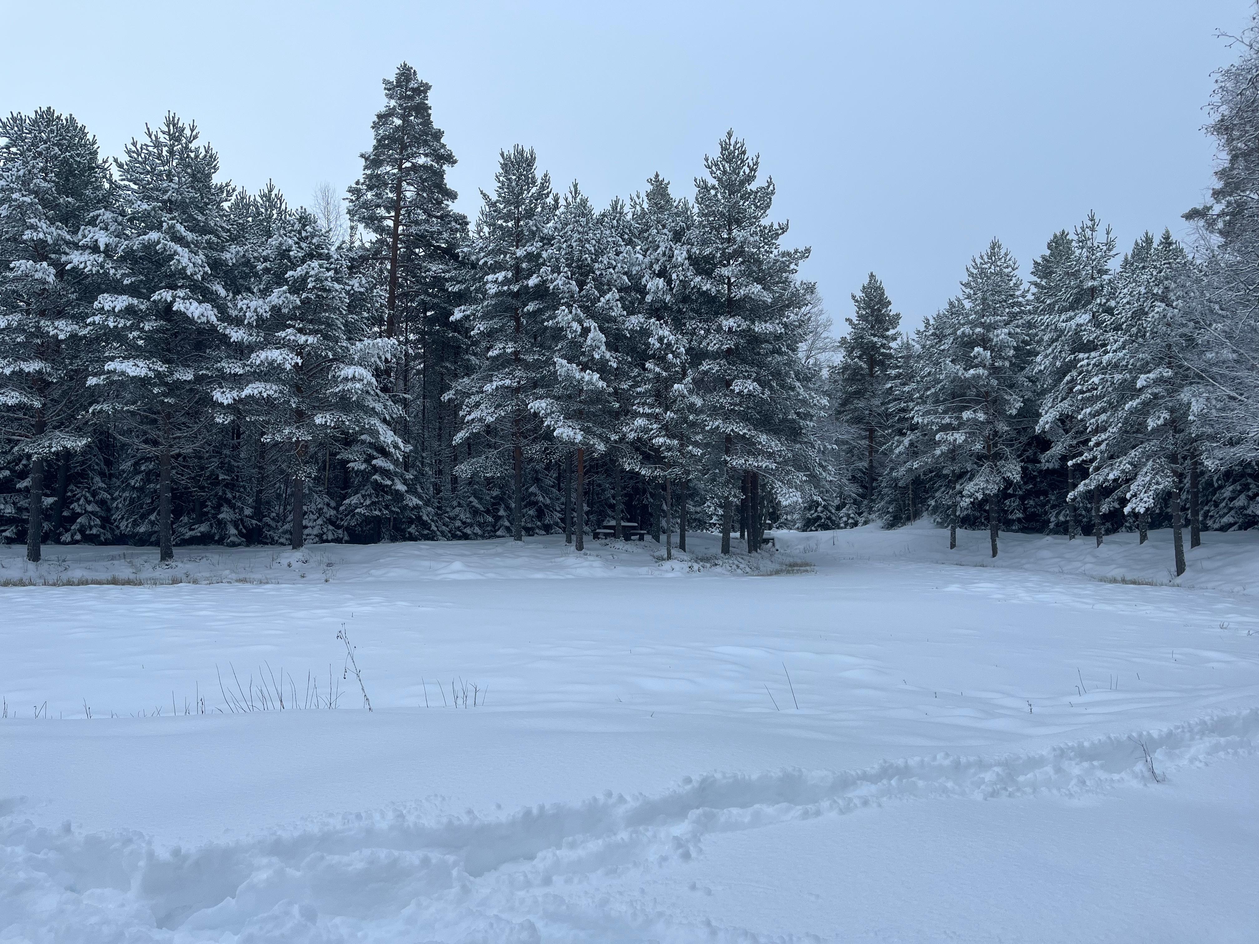 Gör gärna ett besök vid kvarndammen.