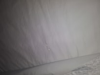 Lovely sleeping on burn holes