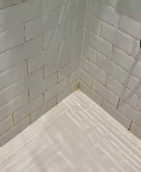 Pink mould in the shower.