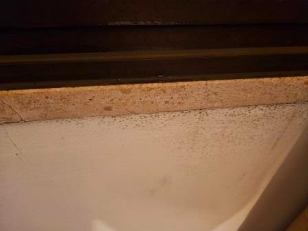 Mold below the bathroom window