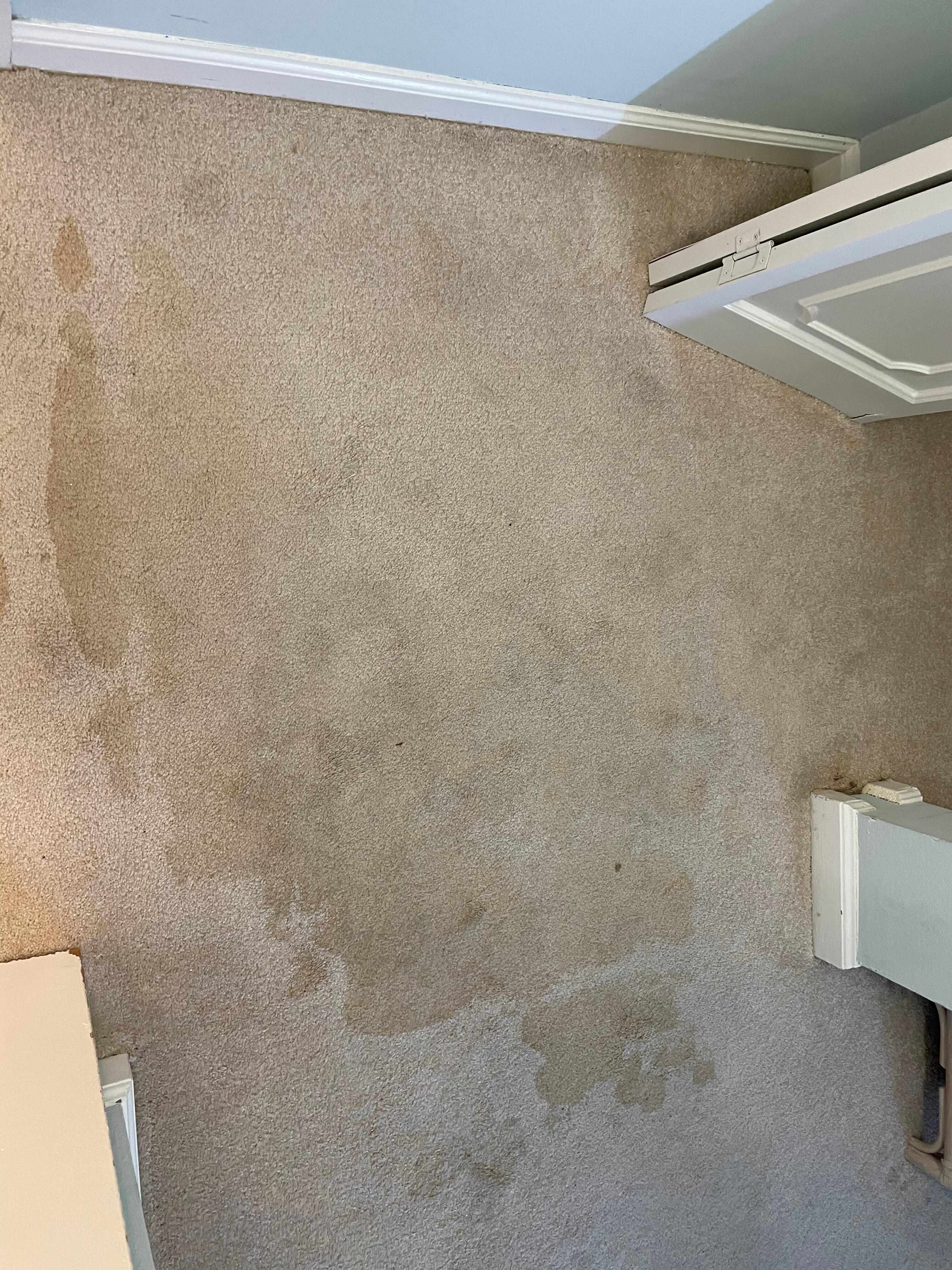 Puddle in room