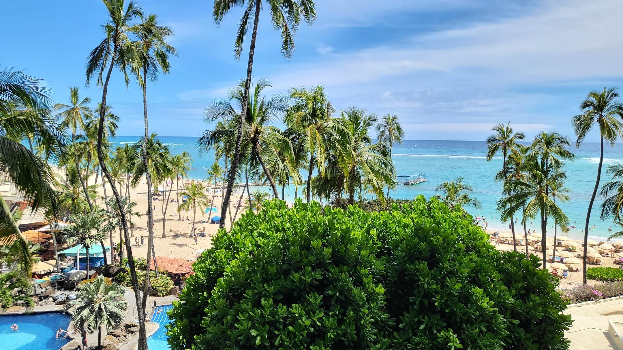 Room with a view