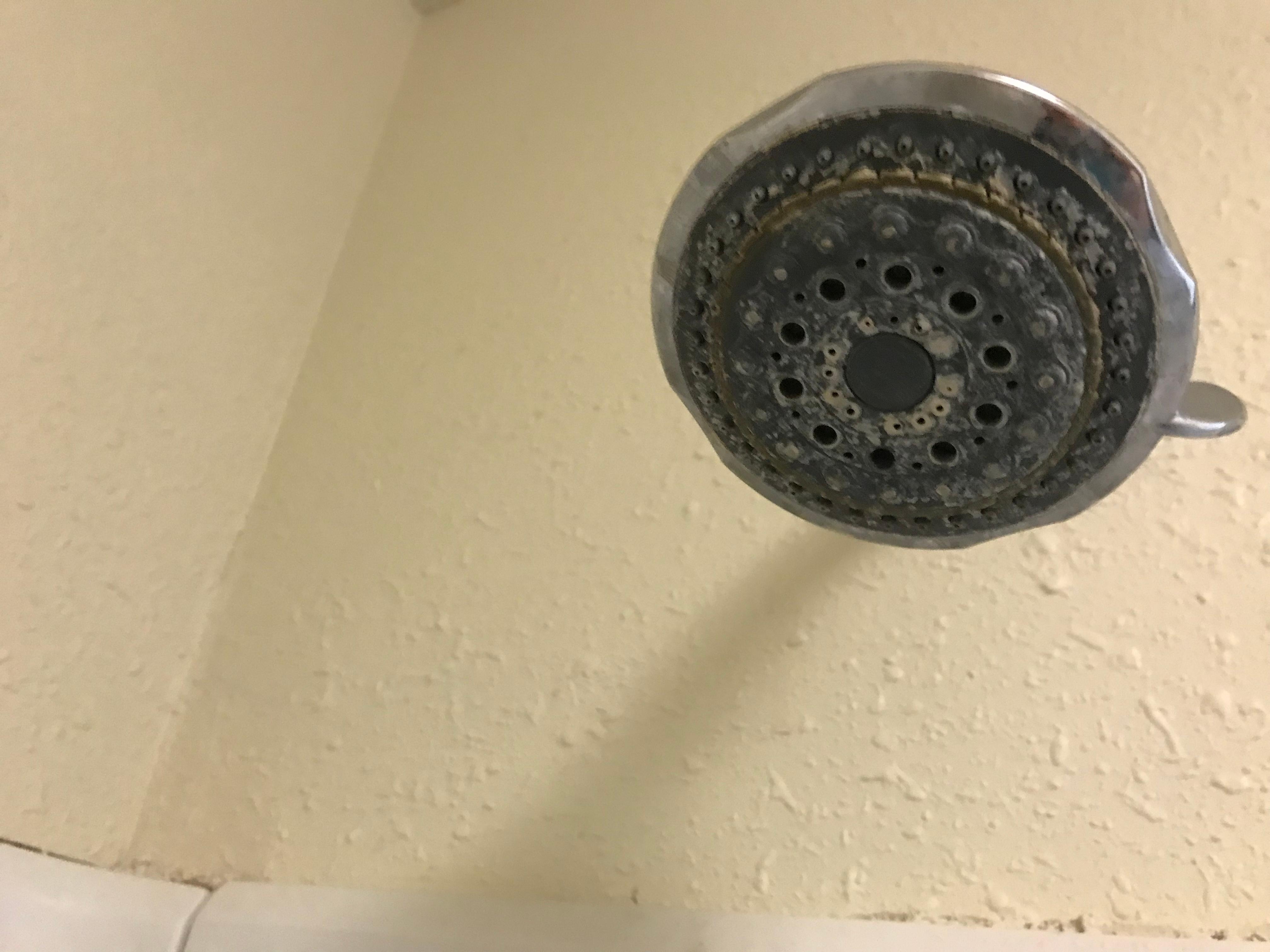 Shower head 