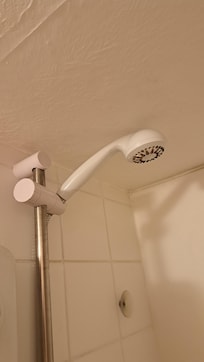 Dirty shower head