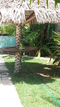Área piscina
