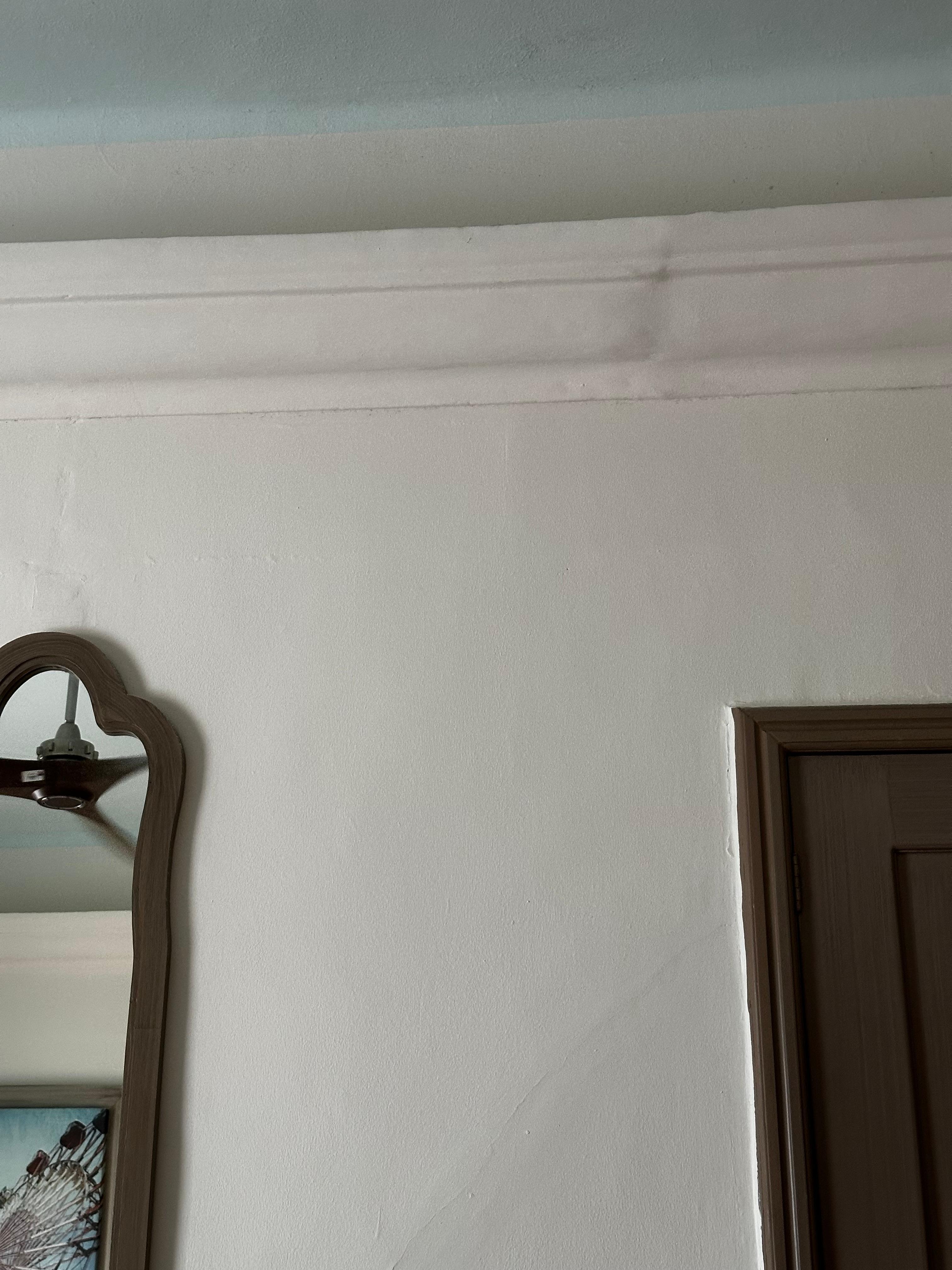 Mold / Mildew in room in various areas obvious.