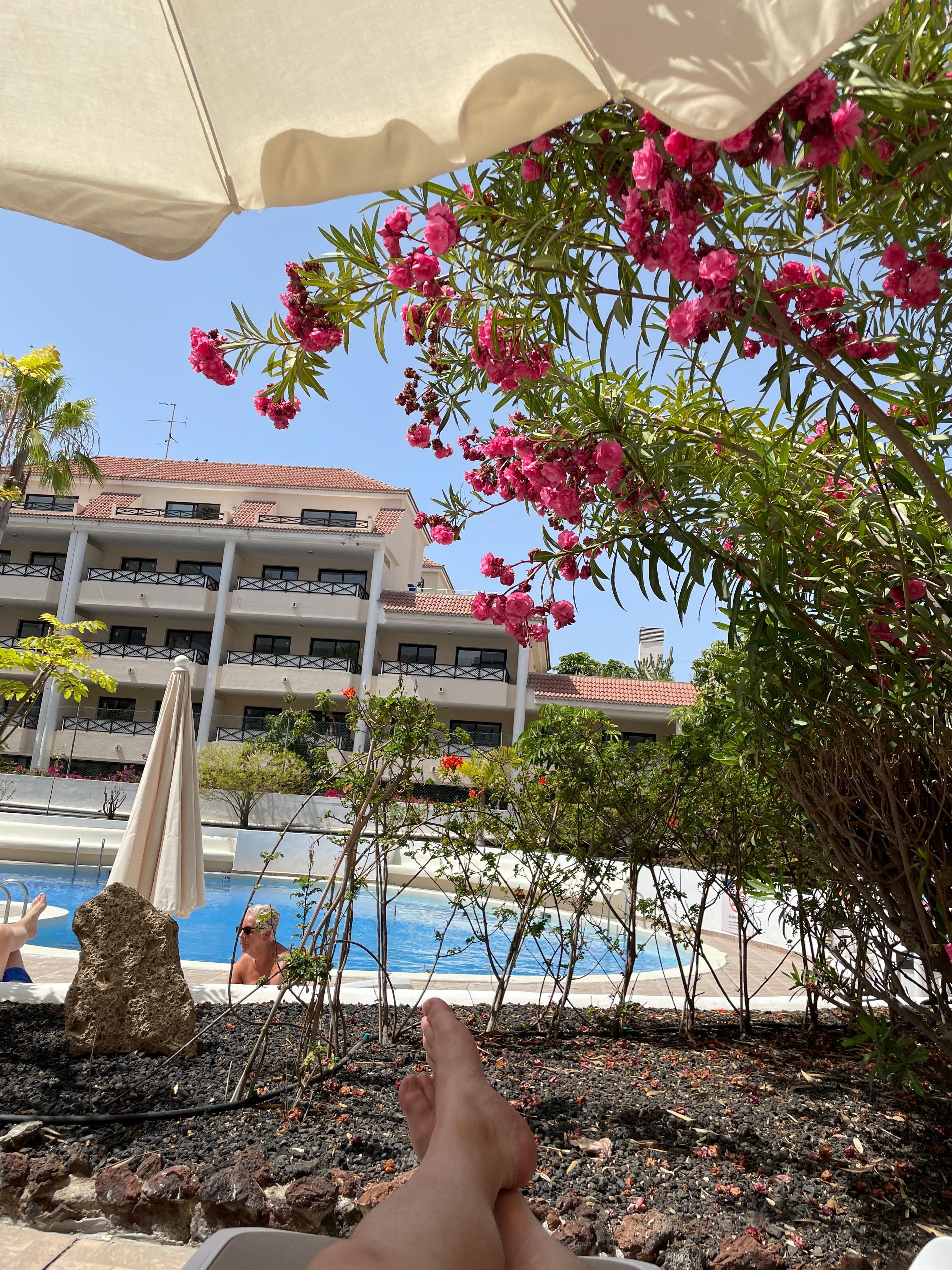 Pool view