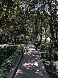 Pathway to Ganga
