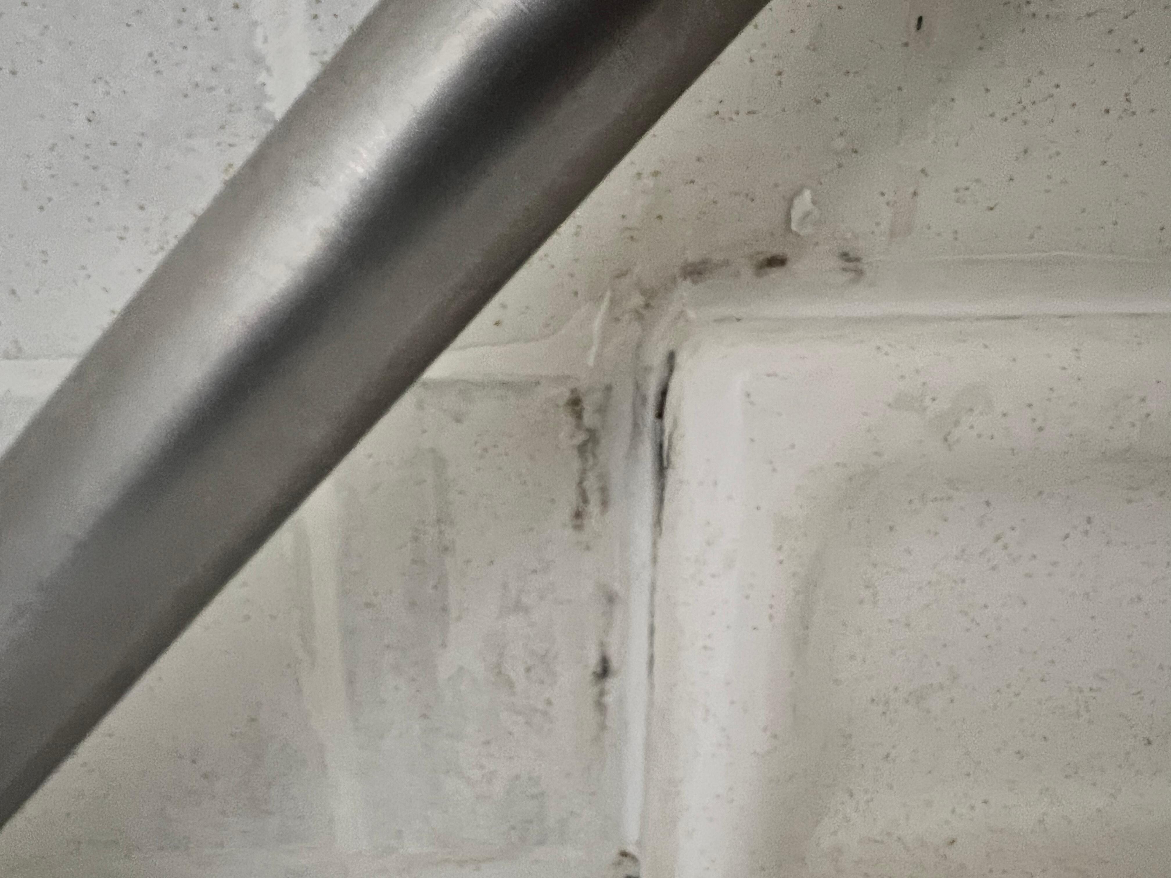 There’s something living in that sealant, amiright?