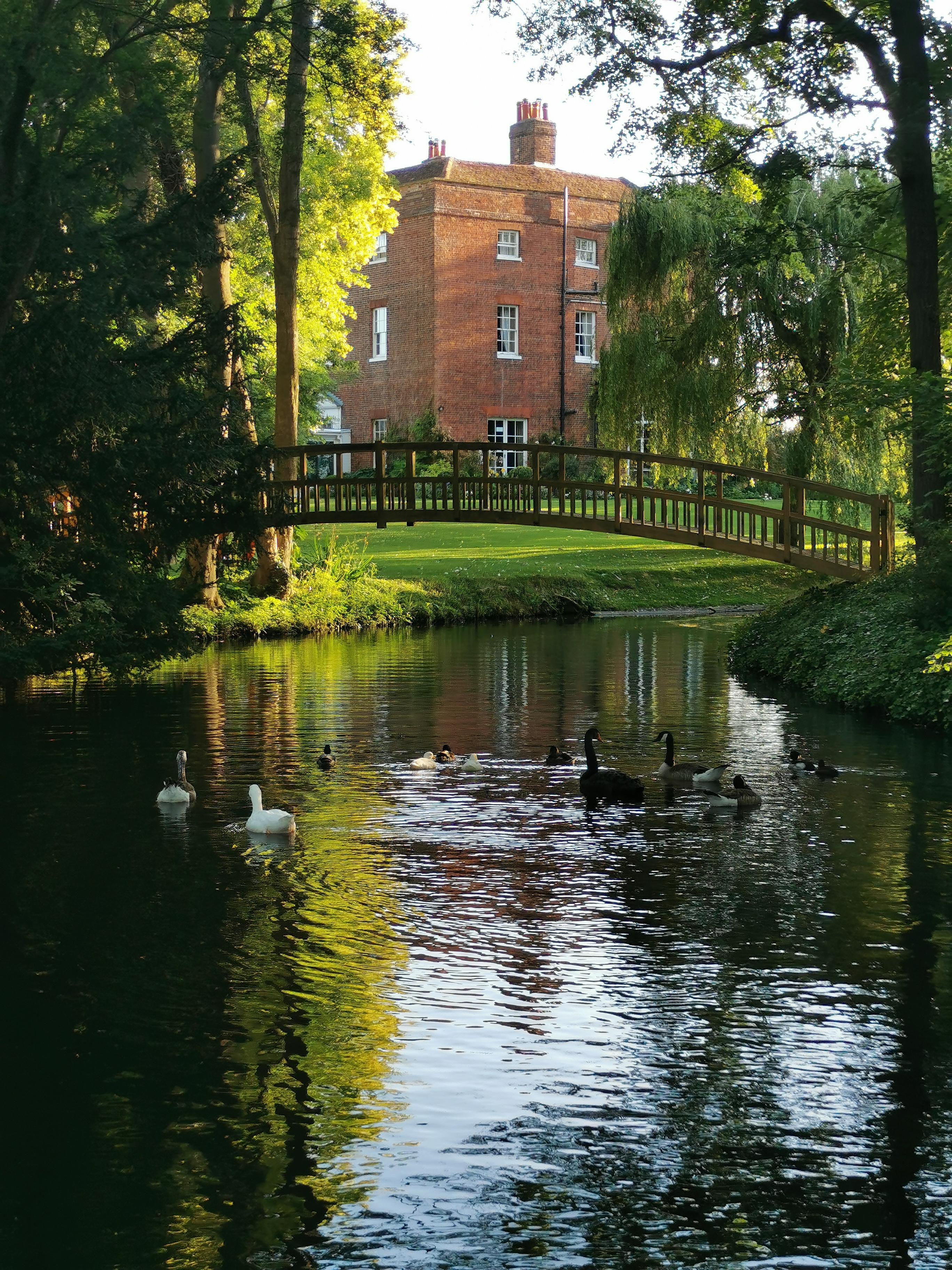 Mulberry House from the bridge over the pond 