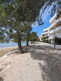 Pinewalk