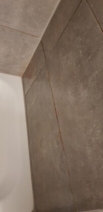 Baño con  azulejoa sucio, mal mantenimiento