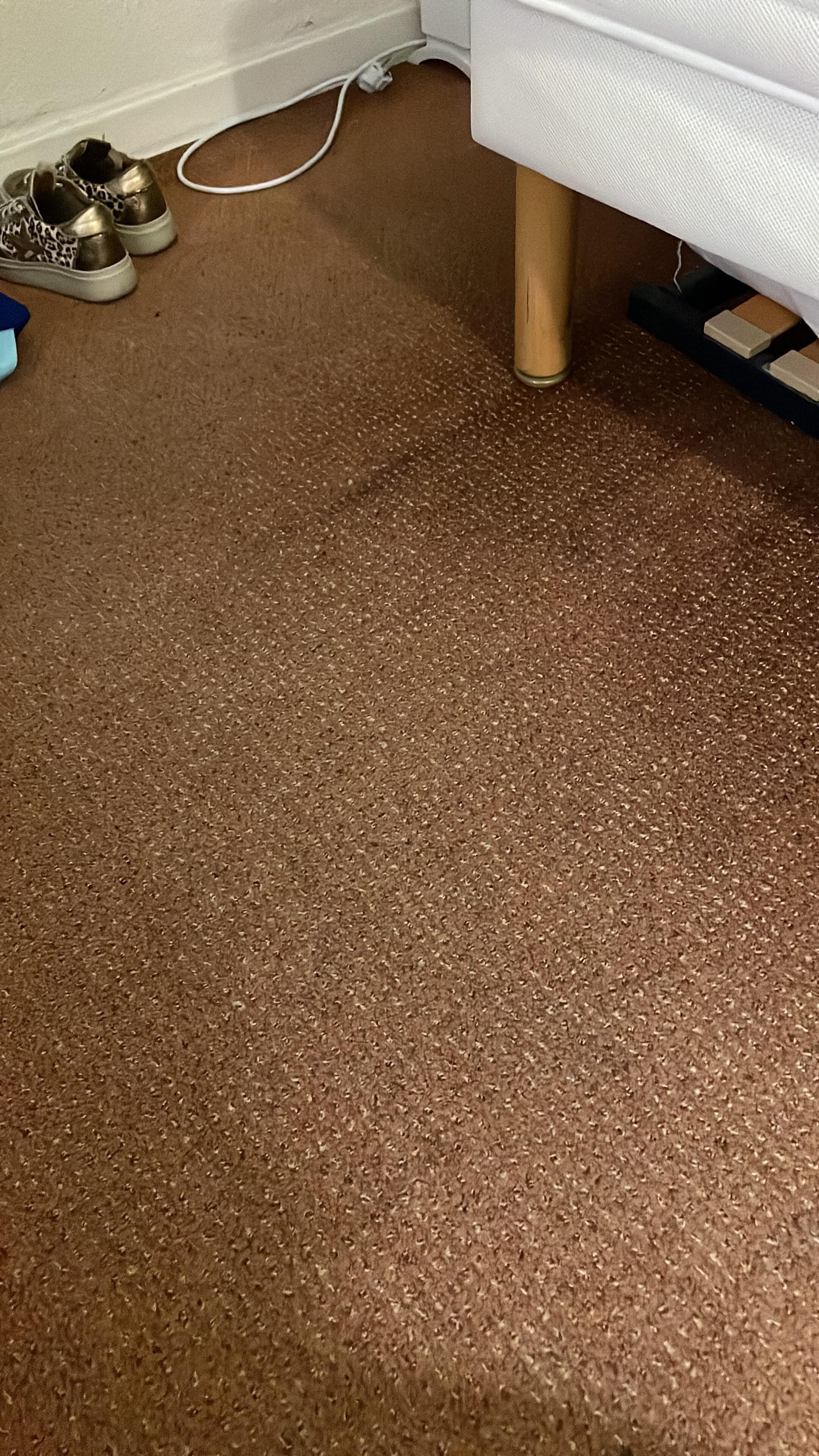La moquette a tout donnée !