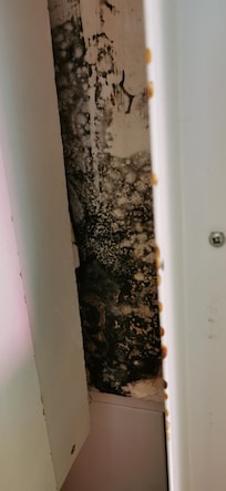 Interieur placard partie haute