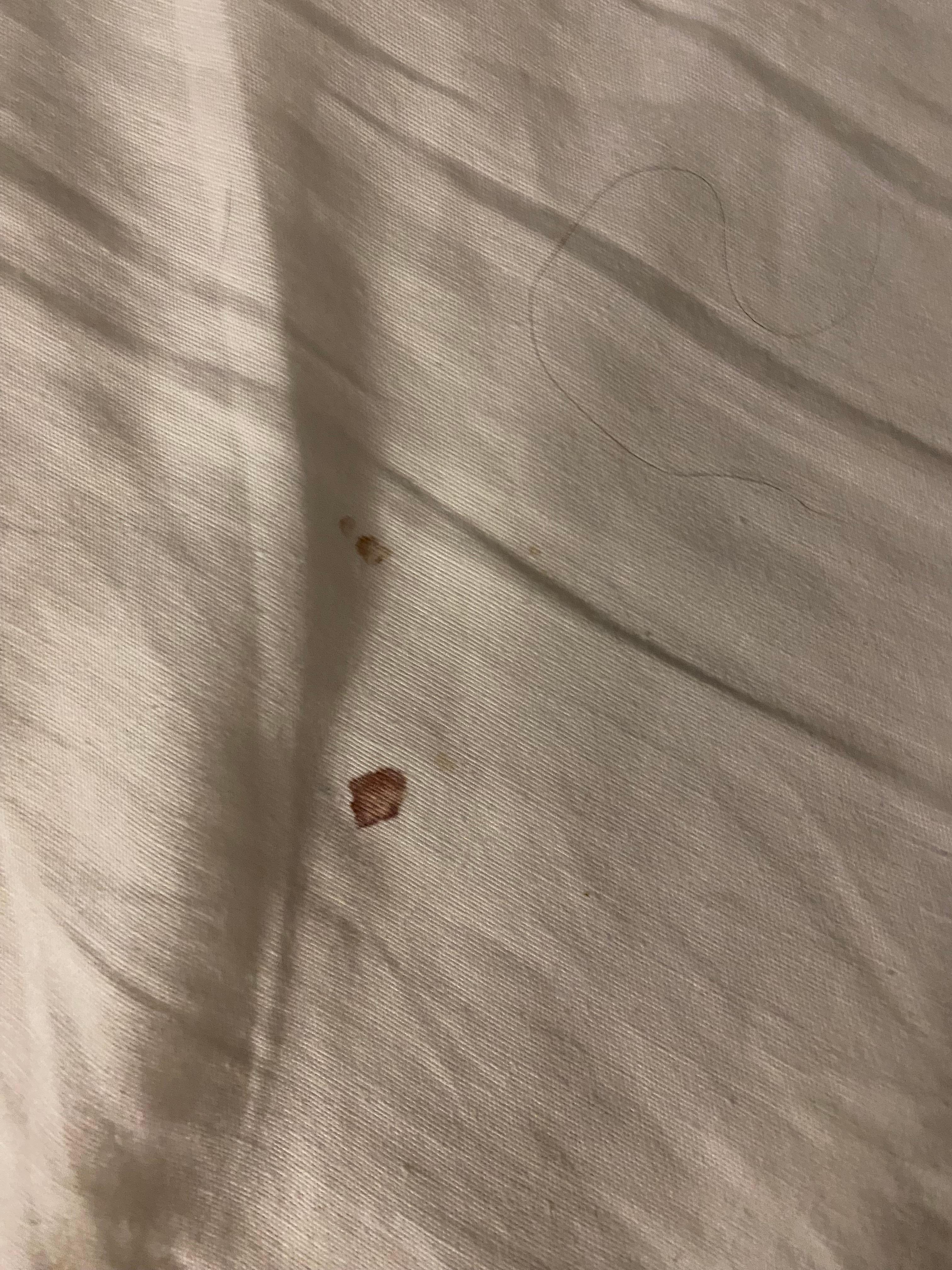 Spot #1 blood on sheets 