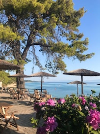 Närmaste strand, tidig morgon.