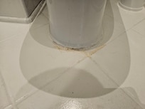 Look at the dirt around the toilet