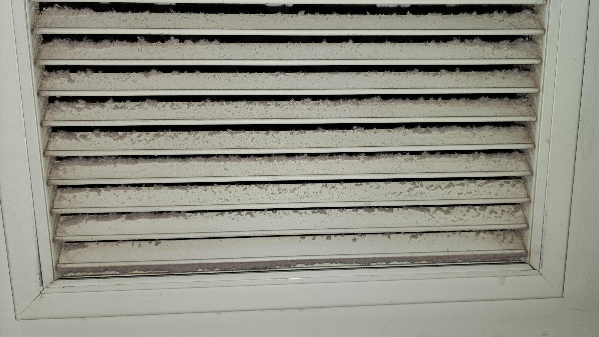 Outside HVAC unit, dirty