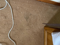 Dirty stained carpet