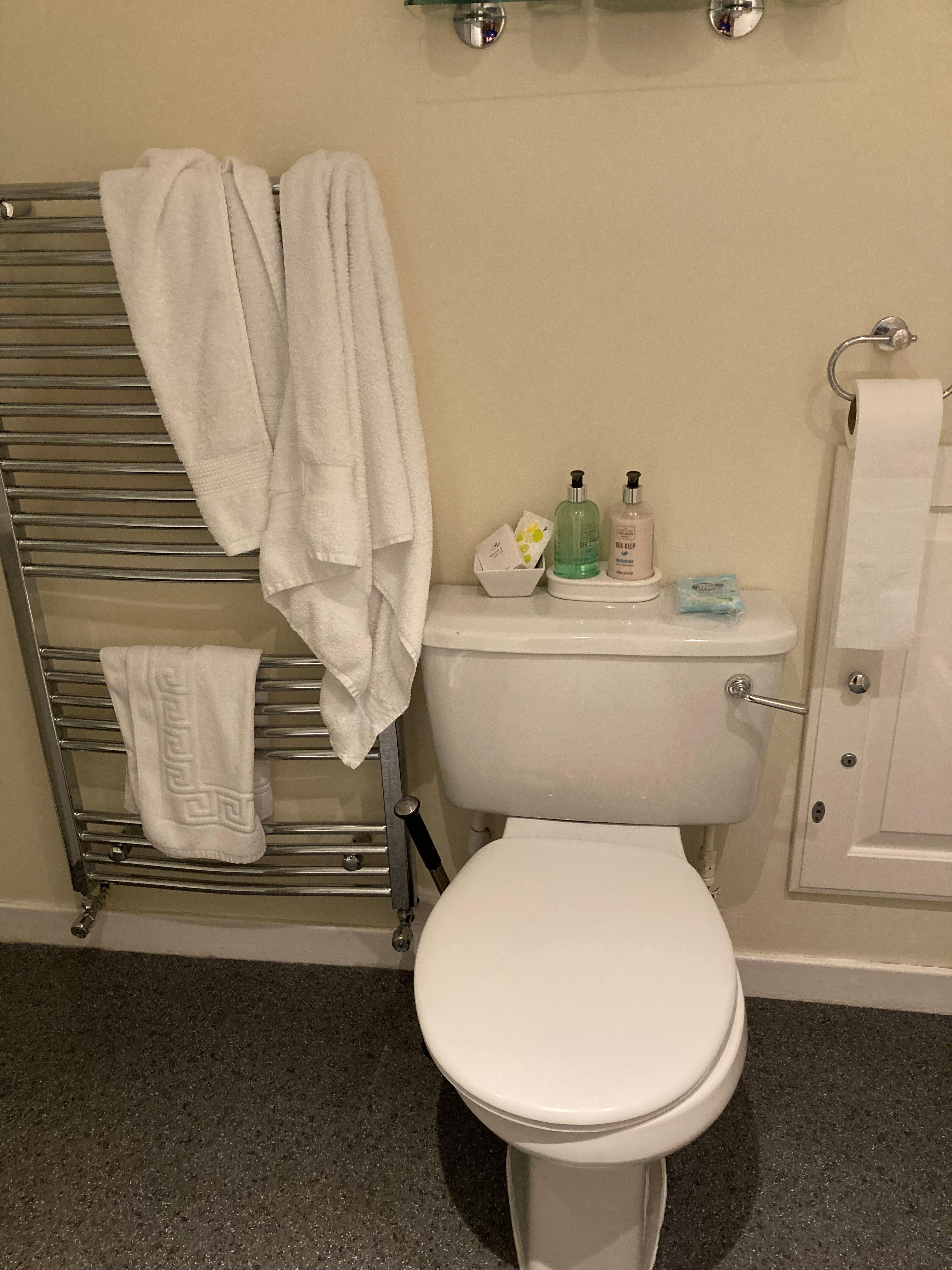 Loose toilet seat & toiletries on toilet cistern as no shelves