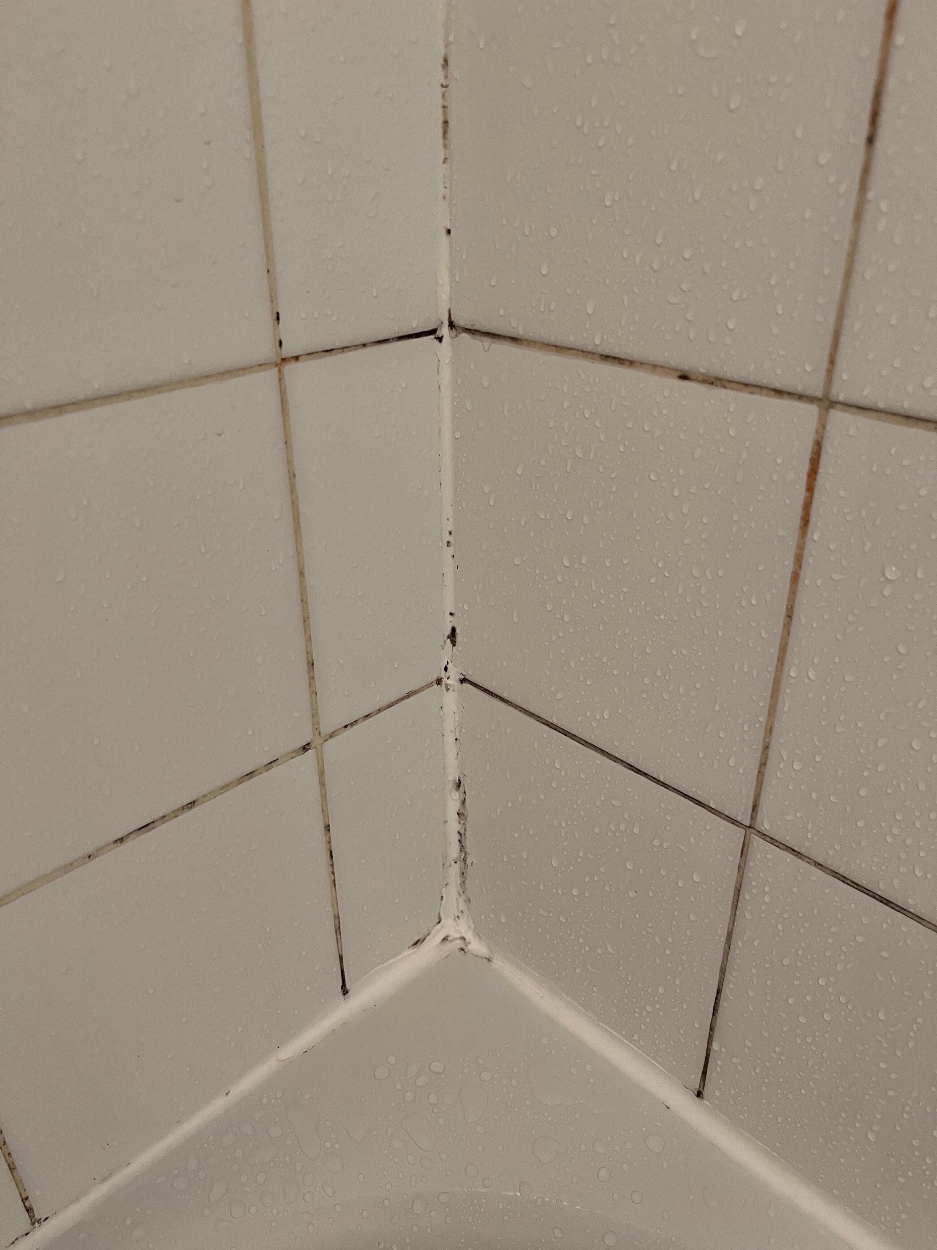 Mold