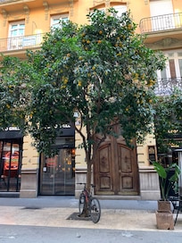 Melhor vista de Valência (em frente ao hotel Vincci Lys)