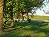 La suite sull'albero