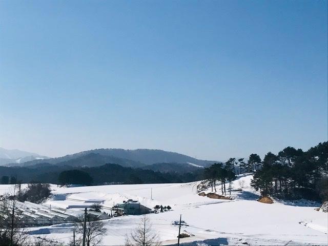 펜션에서 보이는 풍경