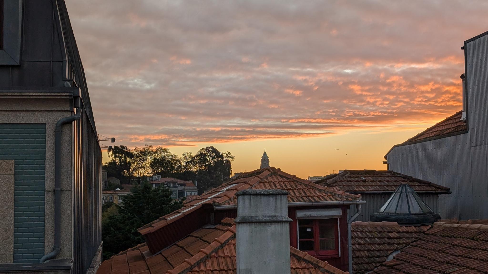 Blick von der Terrasse 