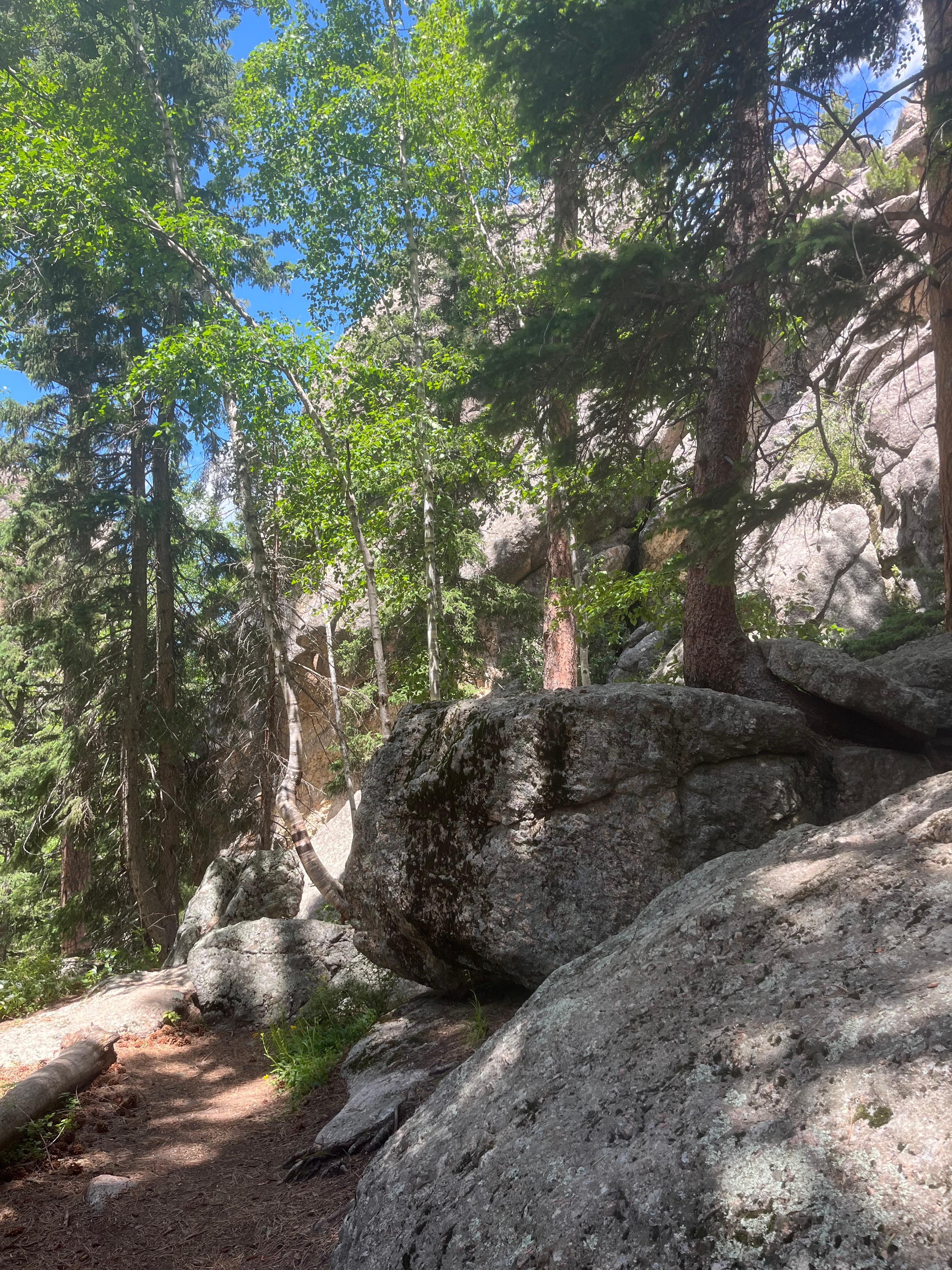 Sunday Gulch trail