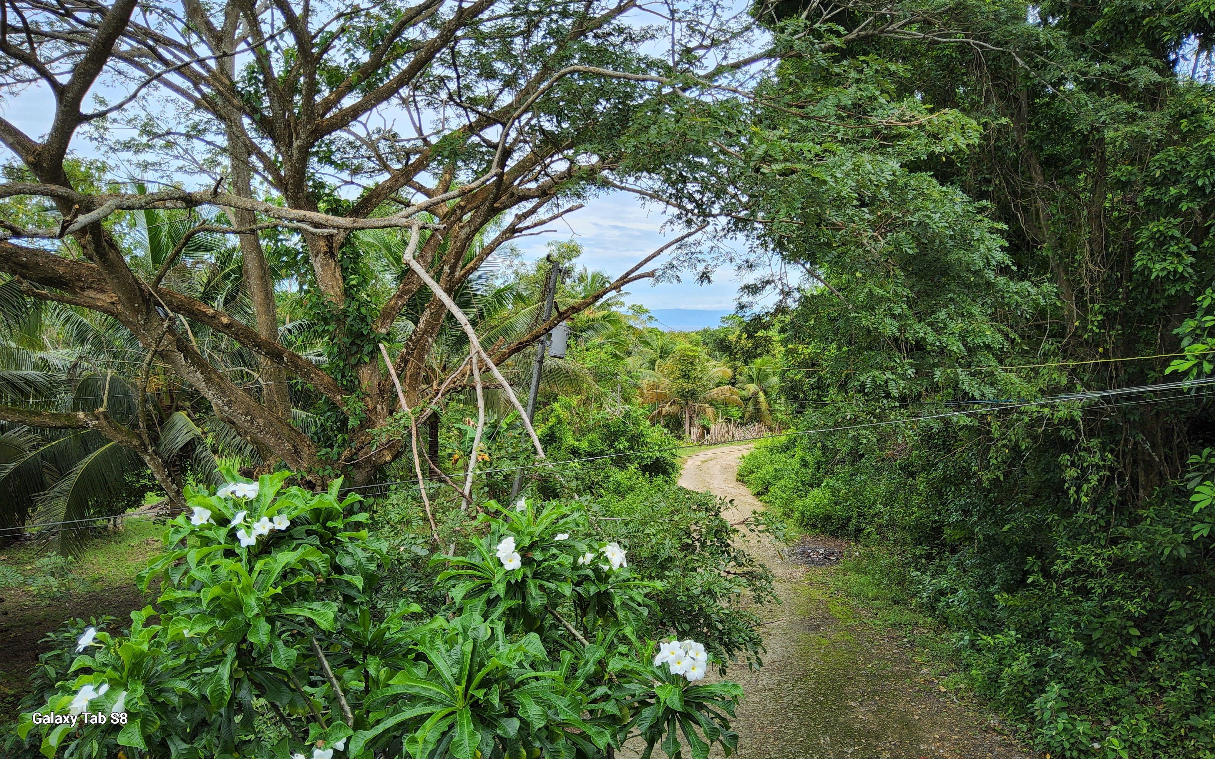 Back Vue from the studio