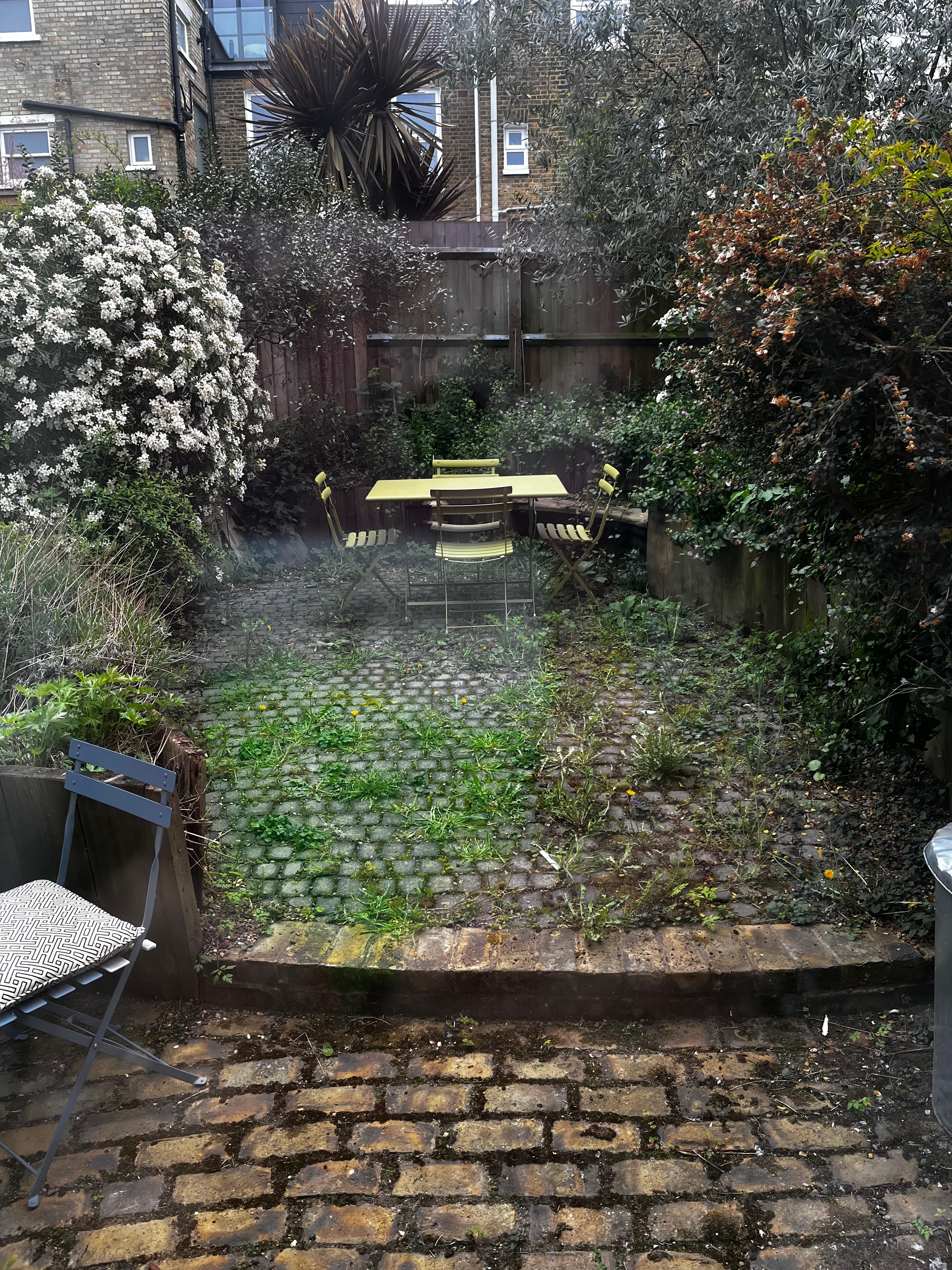 The garden