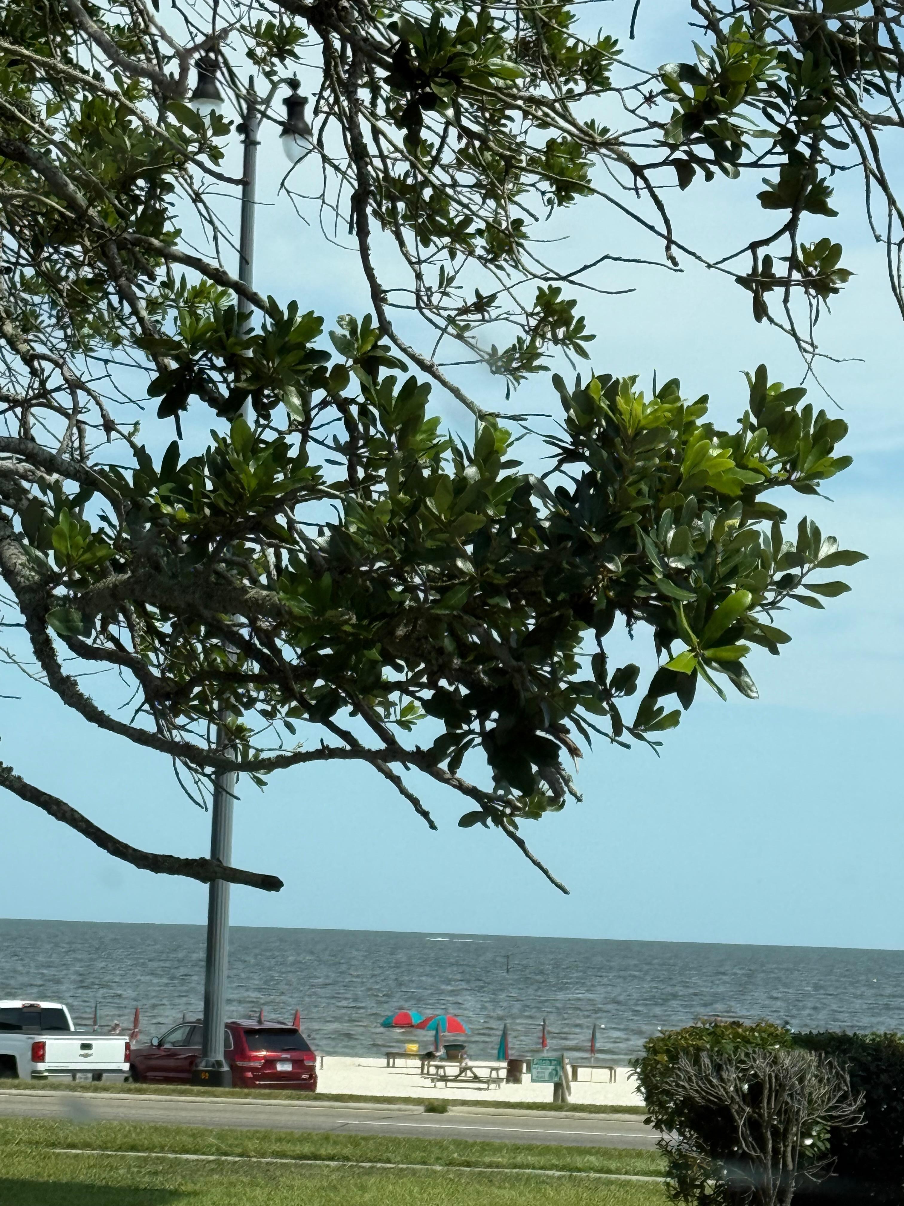 View from front of hotel