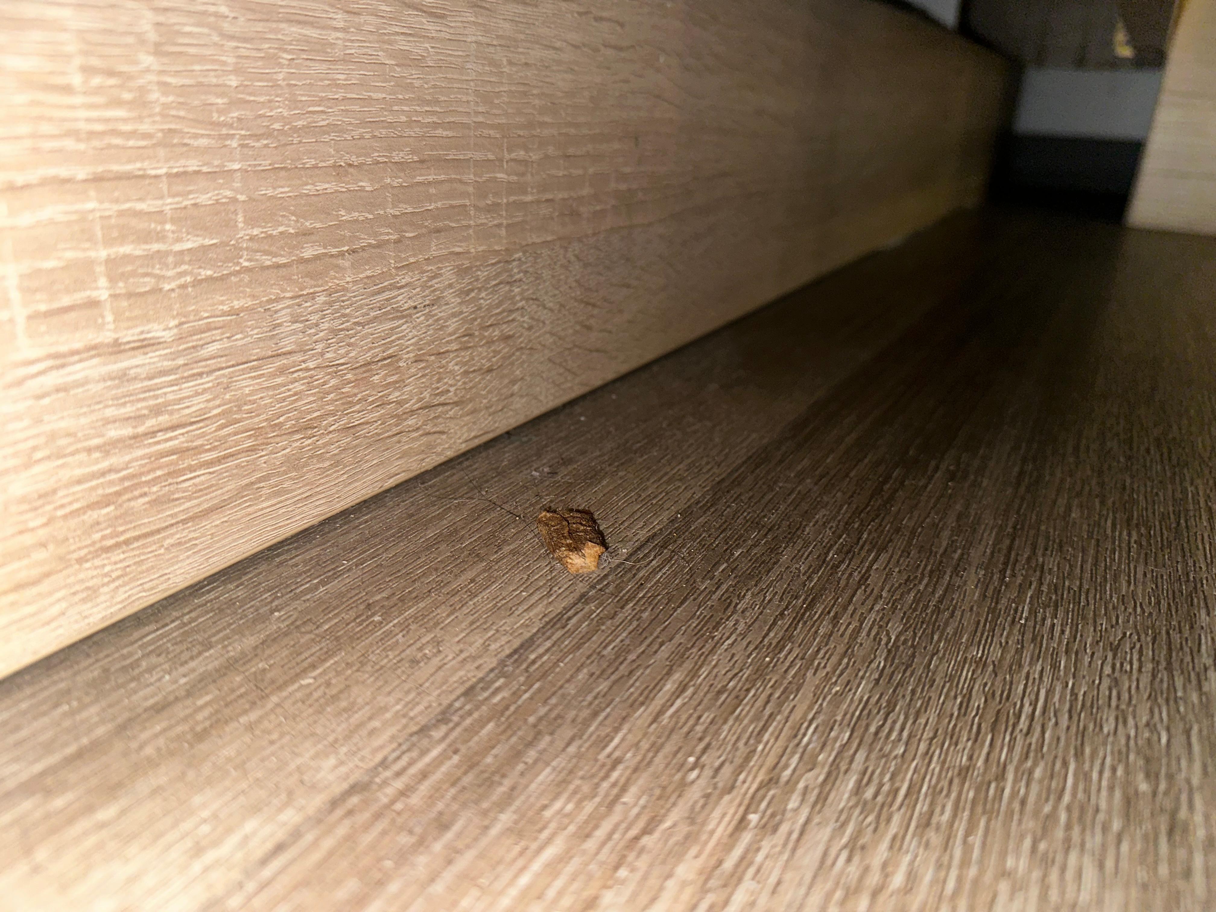 Snus aka tobacco on the floor